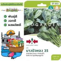 ราคา SORNDAENG ผักซอง ศรแดง S003 คะน้า บางบัวทอง 35 F1 เมล็ดพันธุ์ เมล็ดพันธุ์ลูกผสม เมล็ดพันธุ์ผัก ผักสวนครัว ผักศรแดง (4473428363)