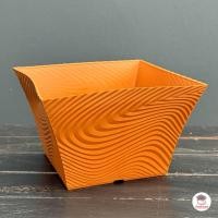 ราคา กระถางม้าลายปากบาน กระถางพลาสติก แคคตัส กระบองเพชร ไม้อวบน้ำ Cactus Succulent (24402660184)