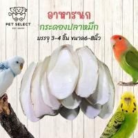 ราคา 3 4ชิ้น กระดองปลาหมึก ลิ้นทะเล อาหารนก แคลเซียมนก แคลเซียมสำหรับสัตว์เลี้ยง อาหารสำหรับนก แคลเซียมก้อน อาหารนก กระดองหมึก (14560170627)