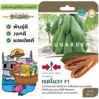 ราคา SORNDAENG ผักซอง ศรแดง S078 มะละกอ เรดโนวา F1 เมล็ดพันธุ์ เมล็ดพันธุ์ลูกผสม เมล็ดพันธุ์ผัก ผักสวนครัว ผักศรแดง (4649660549)