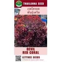 ราคา เมล็ดพันธุ์ผักสลัด เรดโครอล พันธุ์เดวิล ขนาด 0 5 กรัม รหัสสินค้า 3034 (21624576280)
