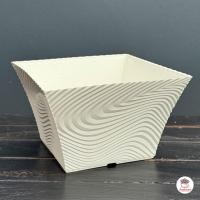 ราคา กระถางม้าลายปากบาน กระถางพลาสติก แคคตัส กระบองเพชร ไม้อวบน้ำ Cactus Succulent (24402678154)