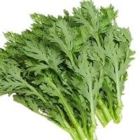 ราคา 300 เมล็ด เมล็ดพันธุ์ ตั้งโอ๋ ตังโอ๋ หรือ ตั่งออ Garland Chrysanthemum Seeds (22876745028)
