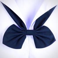 ราคา คอซอง สำเร็จรูป ตราสมอ สีกรมเข้ม สีกรมอ่อน (1728732125)