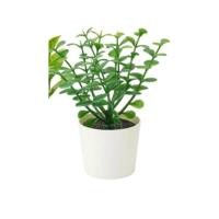 ราคา พร้อมส่ง ไม้ประดิษฐ์ในกระถาง ต้นไม้ปลอม IKEA FEJKA เฟคก้า ดอกไม้ประดิษฐ์ ต้นไม้ประดิษฐ์ กุหลาบหิน ต้นหญ้าปลอม (13984301205)