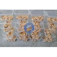 ราคา ด้วงสาคู ด้วงมะพร้าว Sago Beetle ขนาด100g (24018555958)