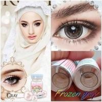 ราคา บิ๊กอาย คอนแทคเลนส์ รุ่น frozen gray brown ฝาแดง ยี่ห้อ Pitchy lens (23966948466)
