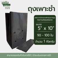 ราคา ถุงเพาะชำ สีดำ เจาะรู ขนาด 2x6 2 5x14 3x7 3x8 8x16 4x9 4x15 5x10 5x12 6x12 7x14 นิ้ว จำนวน 1 กิโลกรัม แพ็ค (22672285768)