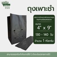 ราคา ถุงเพาะชำ สีดำ เจาะรู ขนาด 2x6 2 5x14 3x7 3x8 8x16 4x9 4x15 5x10 5x12 6x12 7x14 นิ้ว จำนวน 1 กิโลกรัม แพ็ค (22672285766)