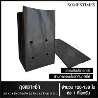 ราคา ถุงเพาะชำ สีดำ เจาะรู ขนาด 2x6 2 5x14 3x7 3x8 8x16 4x9 4x15 5x10 5x12 6x12 7x14 นิ้ว จำนวน 1 กิโลกรัม แพ็ค (22687854677)