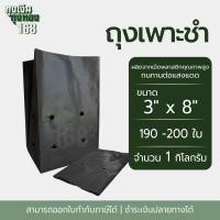 ราคา ถุงเพาะชำ สีดำ เจาะรู ขนาด 2x6 2 5x14 3x7 3x8 8x16 4x9 4x15 5x10 5x12 6x12 7x14 นิ้ว จำนวน 1 กิโลกรัม แพ็ค (22672285764)