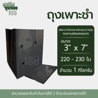 ราคา ถุงเพาะชำ สีดำ เจาะรู ขนาด 2x6 2 5x14 3x7 3x8 8x16 4x9 4x15 5x10 5x12 6x12 7x14 นิ้ว จำนวน 1 กิโลกรัม แพ็ค (22672285763)
