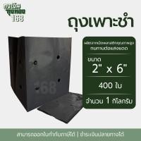 ราคา ถุงเพาะชำ สีดำ เจาะรู ขนาด 2x6 2 5x14 3x7 3x8 8x16 4x9 4x15 5x10 5x12 6x12 7x14 นิ้ว จำนวน 1 กิโลกรัม แพ็ค (22672285761)