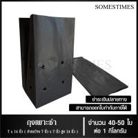 ราคา ถุงเพาะชำ สีดำ เจาะรู ขนาด 2x6 2 5x14 3x7 3x8 8x16 4x9 4x15 5x10 5x12 6x12 7x14 นิ้ว จำนวน 1 กิโลกรัม แพ็ค (22687854685)