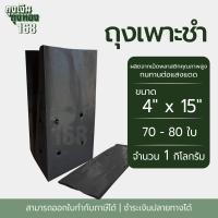 ราคา ถุงเพาะชำ สีดำ เจาะรู ขนาด 2x6 2 5x14 3x7 3x8 8x16 4x9 4x15 5x10 5x12 6x12 7x14 นิ้ว จำนวน 1 กิโลกรัม แพ็ค (22672285767)
