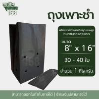 ราคา ถุงเพาะชำ สีดำ เจาะรู ขนาด 2x6 2 5x14 3x7 3x8 8x16 4x9 4x15 5x10 5x12 6x12 7x14 นิ้ว จำนวน 1 กิโลกรัม แพ็ค (22672285765)