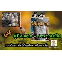 ราคา เชื้อเห็ดฟาง ชุด 1 ก้อน ฟรีอาหารเสริมและคู่มือเพาะเห็ดฟาง (17444851288)