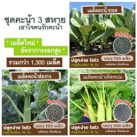 ราคา ชุดเมล็ดคะน้า 3 สหาย เอาใจคนรักคะน้า รวมกว่า 1300 เมล็ด คะน้าเห็ดหอม คะน้ายอด คะน้าฮ่องกง (10238603837)