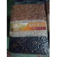 ราคา ข้าวสามสี สังข์หยดไรซ์เบอร์รี่หอมปทุมแบบกล้อง 0 5กิโล ข้าวใหม่ๆจากพัทลุง100 ปลอดสาร100 (22590321335)