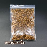 ราคา พร้อมส่ง หนอนนก หนอนอบแห้ง หนอนนก dried mealworm หนอนชูก้า หนอนปลา สำหรับ นก หนู ชูก้า หนอนอบแห้ง สัตว์เล็ก เม่นแคระ ปลา แมลงอบแห้ง เต่า สำหรับสัตว์เล็ก (20521647450)