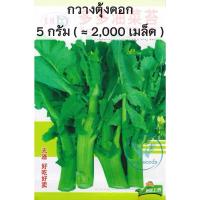 ราคา เมล็ดพันธุ์ ผักกวางตุ้ง แทตฉ่อย กวางตุ้ง ดอกไม้ไฟ Tat Soi Chinese flat cabbage บรรจุ 200 เมล็ด ฮ่องเต้ กวางตุ้งดอก บ๊อกฉ่อย Bokchoi Pakchoi (22364926170)