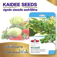 ราคา เมล็ดมะเขือพวงไร้หนาม พวงมณี ตราศรแดง 150เมล็ด เมล็ดพันธุ์มะเขือพวง เมล็ดมะเขือพวง เมล็ดมะเขือ (22804281121)