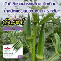 ราคา เมล็ดกระเจี๊ยบเขียว ควีนสตาร์ ปริมาณ120เมล็ด เมล็ดพันธุ์กระเจี๊ยบเขียว เมล็ดพันธุ์ผัก เมล็ดพันธุ์ผักสวนครัว ตราศรแดง (455556115)