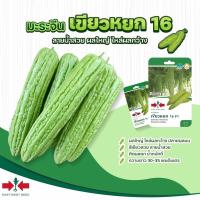 ราคา เมล็ดมะระจีน เขียวหยก16 ตราศรแดง East West Seed เมล็ดพันธุ์มะระจีน เมล็ดพันธุ์ผัก เมล็ดผักสวนครัว ศรแดง (803498244)