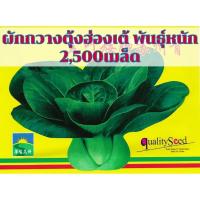 ราคา เมล็ดพันธุ์ ผักกวางตุ้ง แทตฉ่อย กวางตุ้ง ดอกไม้ไฟ Tat Soi Chinese flat cabbage บรรจุ 200 เมล็ด ฮ่องเต้ กวางตุ้งดอก บ๊อกฉ่อย Bokchoi Pakchoi (22364926165)