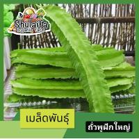 ราคา เมล็ดพันธุ์ถั่วพูฝักใหญ่ 10เมล็ด เมล็ดพันธุ์ผักสวนครัว เมล็ดพันธุ์ถั่วพูใหญ่ เมล็ดพันธุ์คุณภาพ อัตราการงอกสูง (21518863363)
