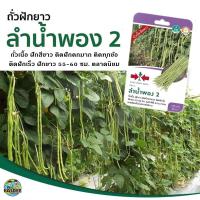 ราคา เมล็ดถั่วฝักยาว ลำน้ำพอง2 ตราศรแดง ขนาด100เมล็ด เมล็ดพันธุ์ถั่วฝักยาว เมล็ดพันธุ์ผัก เมล็ดพันธุ์ผักสวนครัว ศรแดง (6005212206)