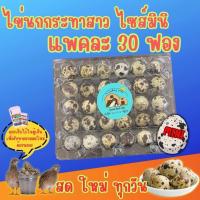 ราคา ไข่นกกระทา เก็บใหม่สดทุกวัน ไข่ไซส์มินิ ไข่นกสาว ไข่นกออกใหม่ จำนวน 30 ฟอง (24534527403)
