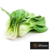 ราคา มายช้อยส์กวางตุ้งไต้หวัน My Choice Bok Choy Special (22884929412)