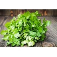 ราคา ชุดปลูกดอกไม้ ชุดปลูกผัก ผักสลัด ผักสวนครัว เดซี่ บาชื่น คอสมอส เบญจมาศ สร้อยไก่ แตงกวา กวางตุ้ง ผักชี พริก (21413736412)