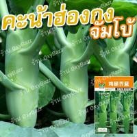 ราคา เมล็ดคะน้าฮ่องกงจัมโบ้ 1000 เมล็ด เมล็ดพันธุ์คะน้าฮ่องกงจัมโบ้ ต้นใหญ่ โตเร็ว (19953289259)