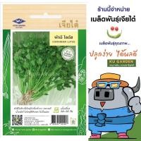 ราคา CHIATAI ผักซอง เจียไต๋ F138 ผักชี โลตัส เมล็ดพันธุ์ เมล็ดพันธุ์ผัก ผักสวนครัว ผักเจียไต๋ ตราเครื่องบิน (24524296736)