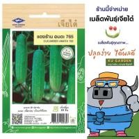 ราคา CHIATAI ผักซอง เจียไต๋ F132 แตงร้าน อมตะ 765 เมล็ดพันธุ์ เมล็ดพันธุ์ผัก ผักสวนครัว ผักเจียไต๋ ตราเครื่องบิน (24524528331)