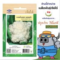 ราคา CHIATAI ผักซอง เจียไต๋ กะหล่ำดอก พอลล่า F1 F149 กะหล่ำ กะหล่ำดอก เมล็ดพันธุ์ผัก เมล็ดผัก เมล็ดพืช ผักสวนครัว (23159650234)