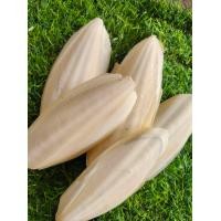 ราคา 5ชิ้น กระดองปลาหมึก ลิ้นทะเล ไซร้ 4 6นิ้ว เสริมแคลเซียมนก และ สัตว์ฟันแทะ (24249001099)