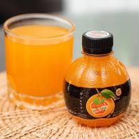 ราคา น้ำส้มเดอะโชกุน แพ๊ค 6ขวด น้ำส้มเดอะโชกุนผสมเกล็ดเนื้อส้มแท้ หวานนิด เปรี้ยวหน่อย หอมอร่อยลงตัว (22521165716)