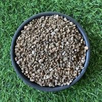 ราคา 500กรัม หินภูเขาไฟ หินโรยหน้ากระถาง หินผสมดินสำหรับปลูกต้นไม้ (16620741492)