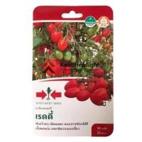 ราคา มะเขือเทศเชอร์รี่ เรดดี้ มะเขือเทศราชินี 50เมล็ด ศรแดง (16675016709)