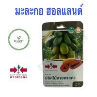 ราคา เมล็ดมะละกอ ฮอลแลนด์ ปลักไม้ลายศรแดง ศรแดง ซองแข็ง 20 เมล็ด ผักสวนครัว (24306897174)