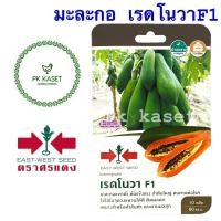 ราคา เมล็ดมะละกอ เรดโนวา F1 ศรแดง ซองแข็ง 10 เมล็ด ผักสวนครัว (5108080894)