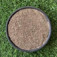 ราคา 500กรัม หินภูเขาไฟ หินโรยหน้ากระถาง หินผสมดินสำหรับปลูกต้นไม้ (16620741491)