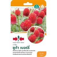 ราคา เมล็ดพันธุ์ ดอกบานไม่รู้โรย บานไม่รู้โรย Gomphrena Seed มีให้เลือก 7 ชนิด (23024005378)