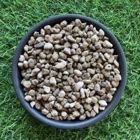 ราคา 500กรัม หินภูเขาไฟ หินโรยหน้ากระถาง หินผสมดินสำหรับปลูกต้นไม้ (16620741493)