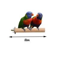 ราคา ไม้คอนยืน คอนไม้ คอนนก คอนนกแก้ว ติดกรงนก สำหรับนกแก้ว เลิฟเบิร์ด ค๊อกคาเทล กรีนชีค (23512784613)