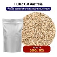 ราคา สุดยอด ข้าวโอ๊ต ออสเตรีย Oat Rice อาหารนก กระต่าย หนู กระต่าย กระรอก ชูก้า และสัตว์ฟันแทะ แบ่งขาย 500G 1KG (18059900205)