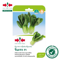 ราคา East West Seed เมล็ดพันธุ์ผักกาดกวางตุ้งฮ่องเต้ลูกผสม F1 จั่นเจา PAKCHOY เมล็ดพันธุ์ ผักสวนครัว ตราศรแดง (21399212791)